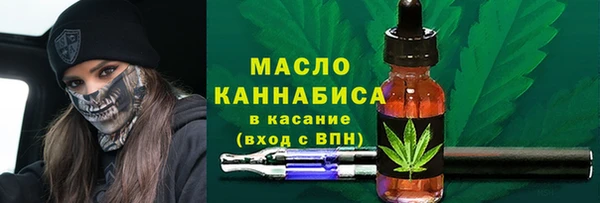 мдпв Богородск