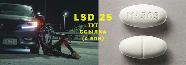 дмт Богданович