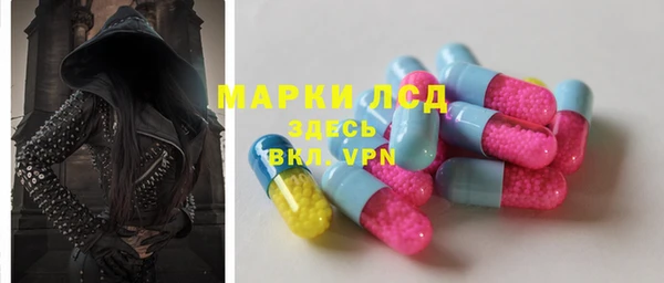дмт Богданович
