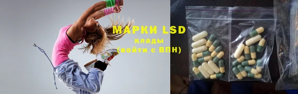 дмт Богданович