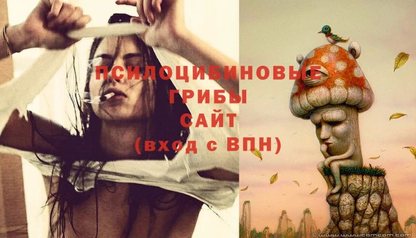 мет Белокуриха