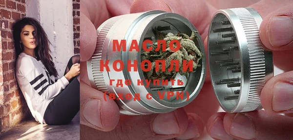 мдпв Богородск