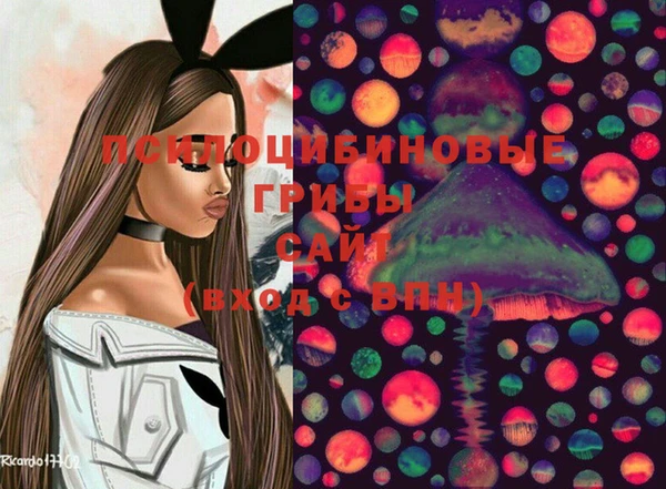 мет Белокуриха