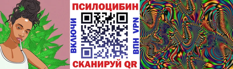 купить наркотики цена  OMG онион  Галлюциногенные грибы мицелий  Бикин 